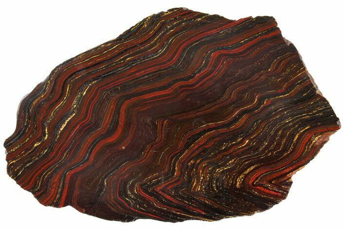 Polished Tiger Iron Stromatolite - Billion Years #129341